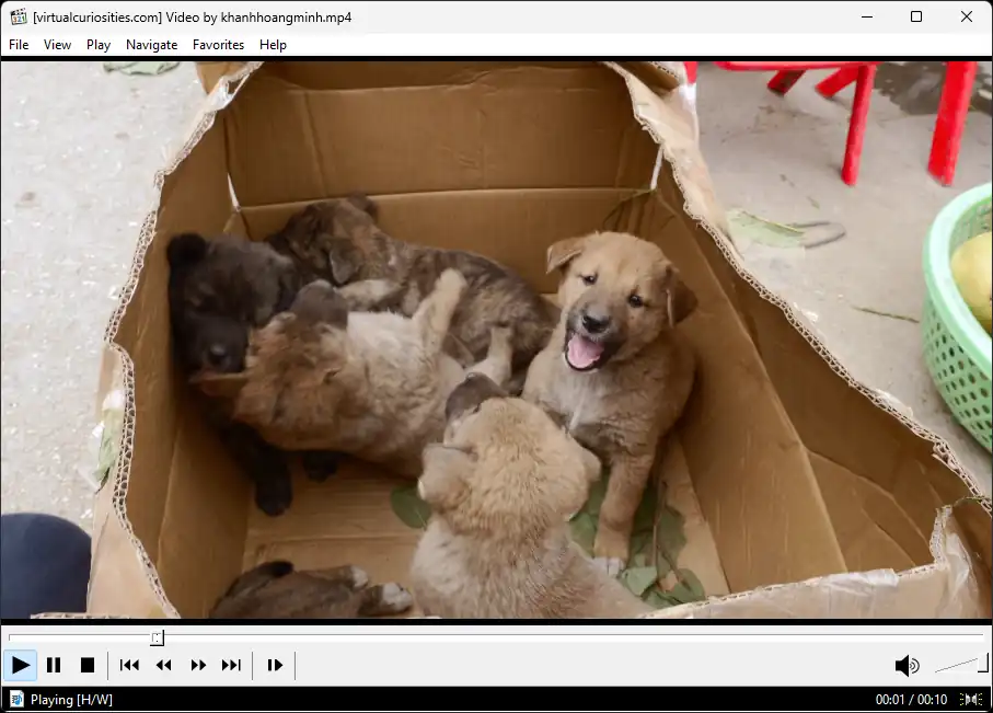 A window titled "[virtualcuriosities.com] Video by khanhhoangminh.mp4". Its menubar: File, View, Play, Navigate, Favorites, Help. The main pane displays several puppies in a box. Under the main pane there is a progress bar, and under it several buttons: a play button, pause button, stop button, two buttons with arrows to the left and two with the arrows to the right, and one button that is a rectangle with a right arrow. On the right side of this bar, a speakers icon next to a volume slider. The statusbar reads Playing [H/W] on the left side and on the right side the timestamps 00:01 / 00:10 next to a pair of speakers.