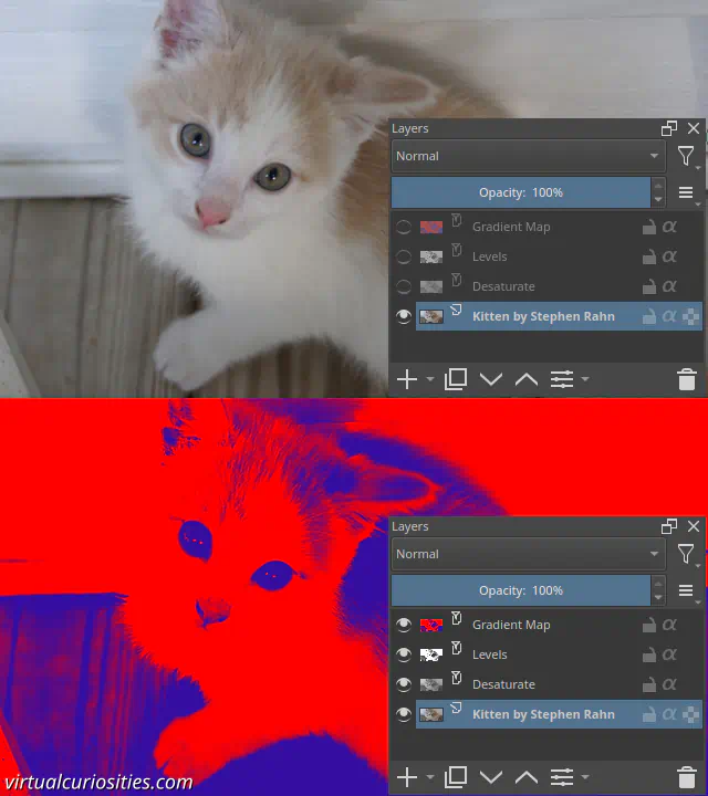 A photo of a kitten, next to it a layer structure in Krita that creates a blue and red duotone effect. The structure includes a gradient map, then a levels filter, then a desaturate filter, and finally the photo of the kitten.